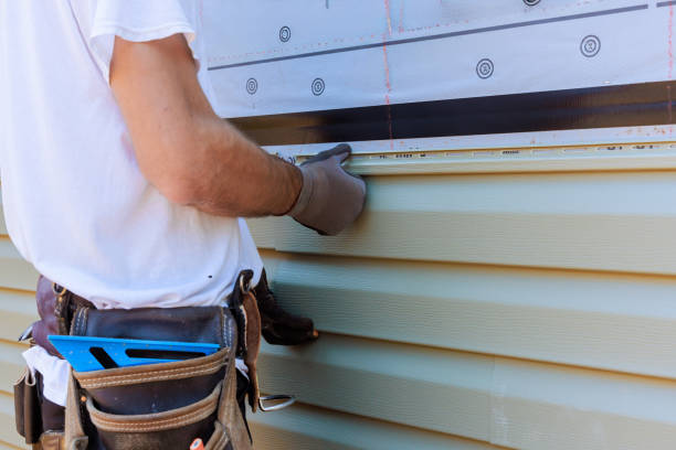 Best Steel Siding Installation  in Erin, TN