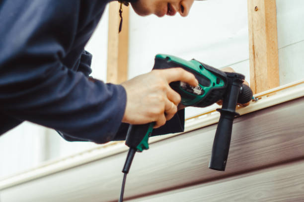 Best Fascia and Soffit Installation  in Erin, TN
